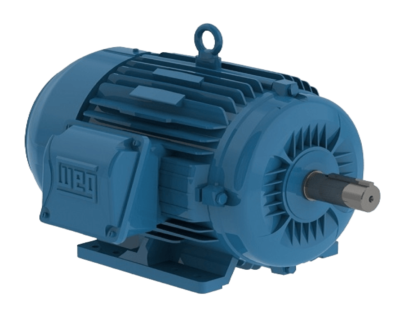 Motor WEG